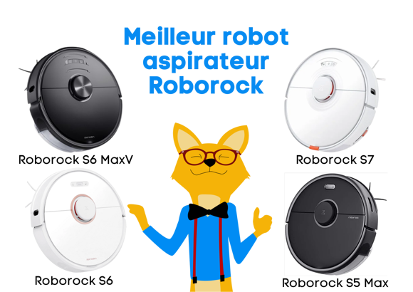 Aspirateurs robots Roborock