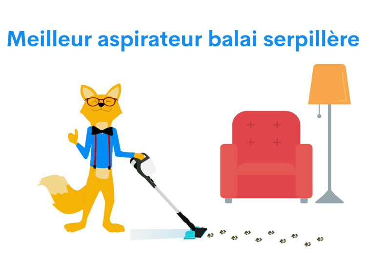 Balai Serpillère avec Réservoir, Le Balais Français