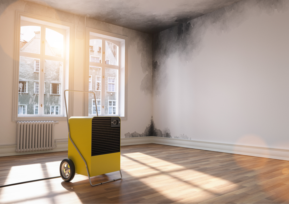 🥇 Les meilleurs Déshumidificateurs d'air : anti moisissure et humidité de  2022 