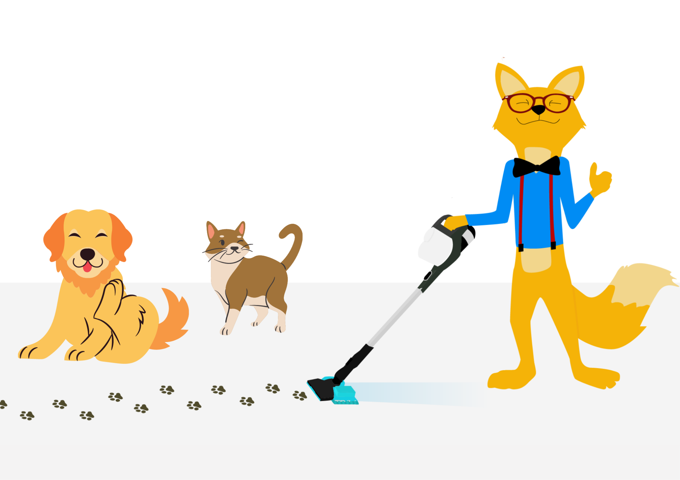 aspirateur à main poil d'animaux