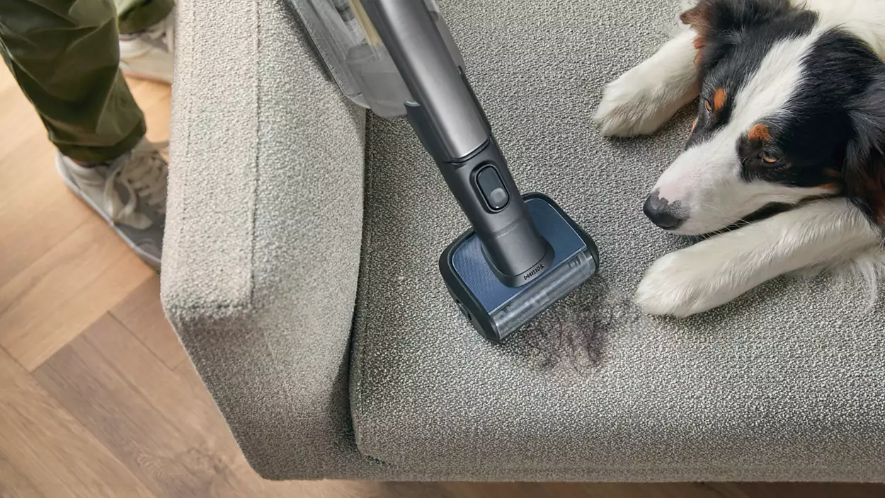 cheveux poil animaux philips aspirateur