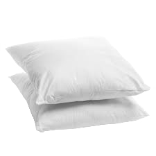 Oreillers anti-acariens