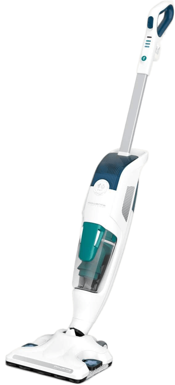 nettoyeur vapeur rowenta clean steam