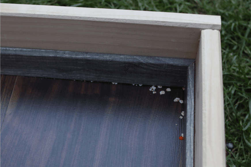 Test flocons d'avoine sol dur Roborock S5 Max coin