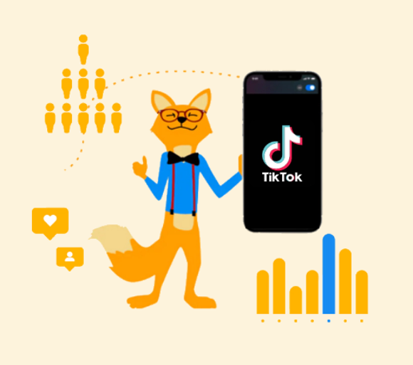 Statistiques tiktok